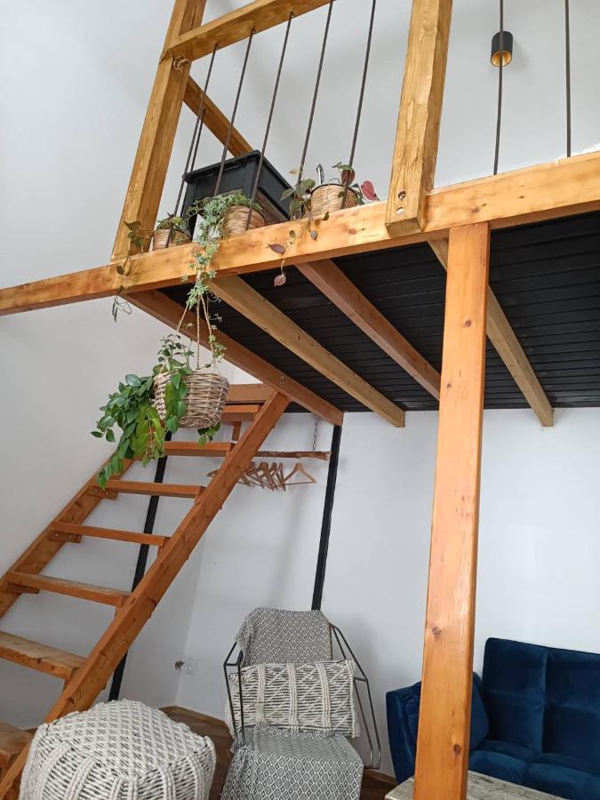 Hipster Paradise Apartamento